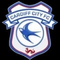 Cardiff City Live