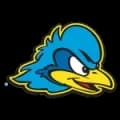 Delaware Blue Hens Live