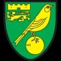 Norwich City Live