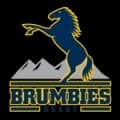 Brumbies Live