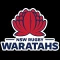 Waratahs Live